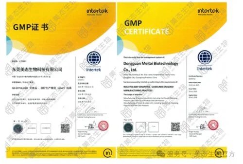 ISO 22716 Cosmetics GMP Guidelines
