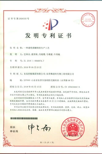 Sodium Hyaluronate Production Process